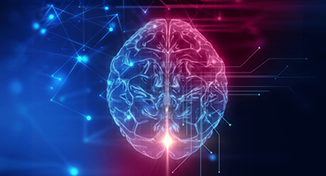 Imagen de  Imagen de un cerebro digital